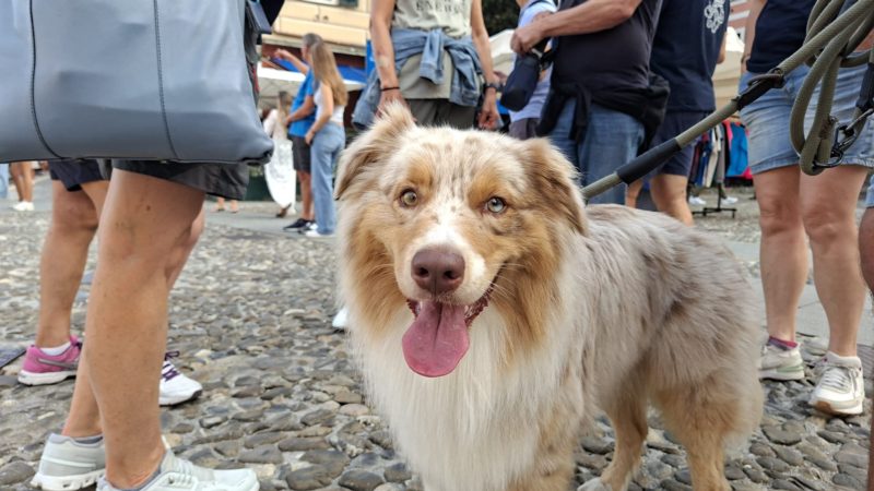 Rijeka 26_27 sett 26